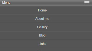 40+ Responsive Navigation Solutions (Examples & Codes) – Sanwebe
